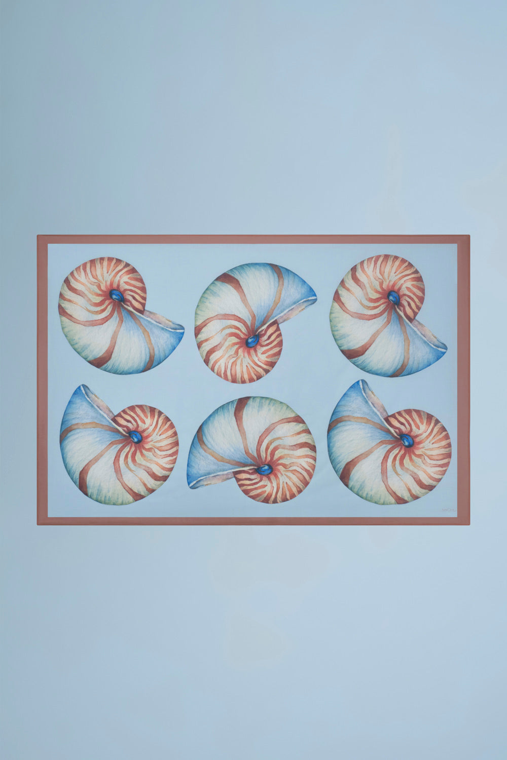 CARACOLÍ PAREO AQUA